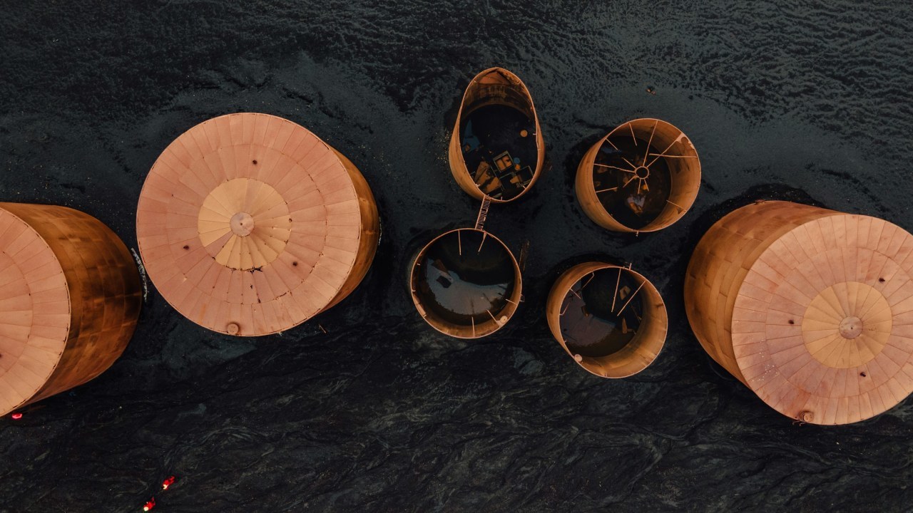 Ответы на 10 самых распространённых вопросов о бисероплетении